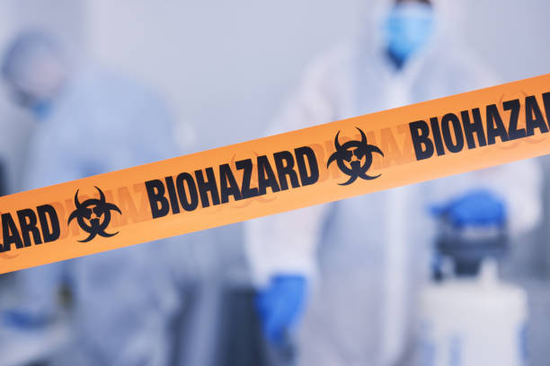 Professional Odor Removal technician working in Bayport, NY